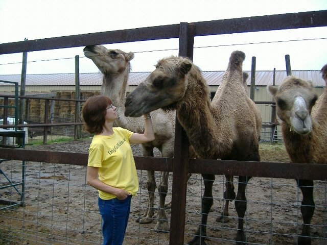 A 2008 visitor gets acquainted with some of our staff 